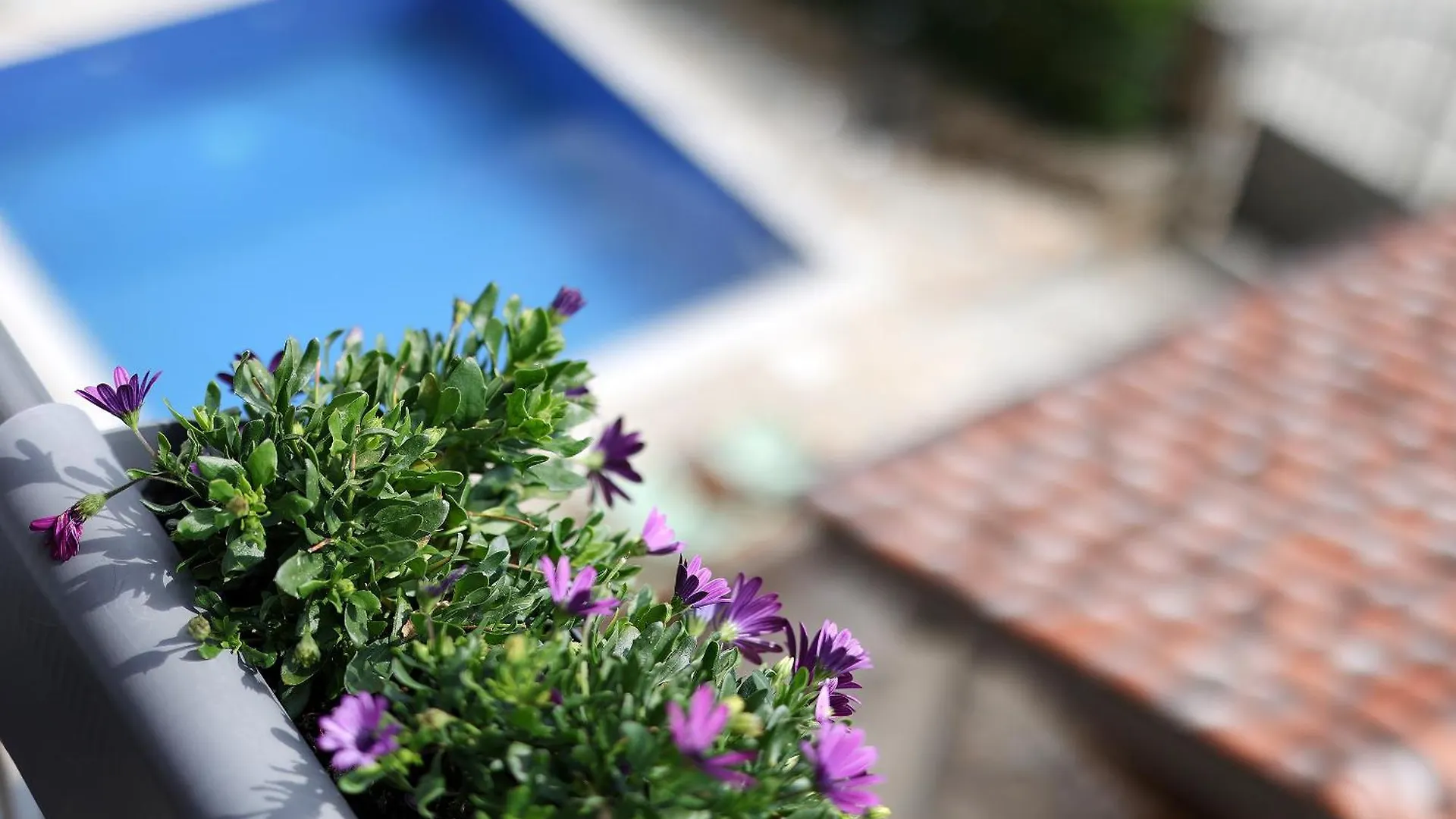Casa San Marco Apartment Porec